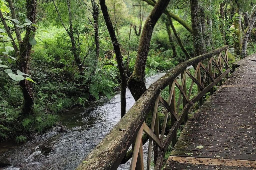 Apartmán Tranquilidad Y Naturaleza Mondariz-Balneario Exteriér fotografie
